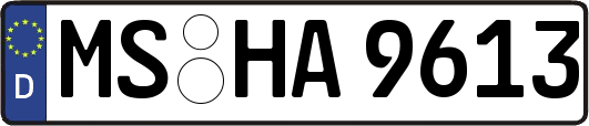 MS-HA9613