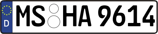 MS-HA9614