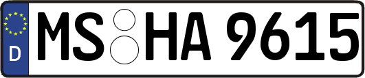 MS-HA9615
