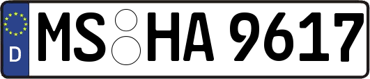 MS-HA9617
