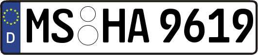 MS-HA9619