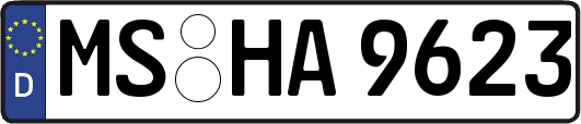 MS-HA9623