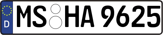 MS-HA9625