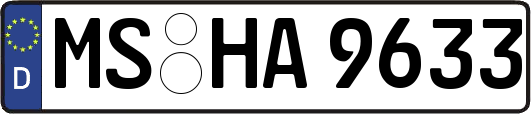 MS-HA9633