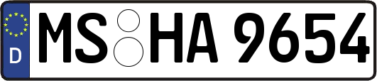 MS-HA9654