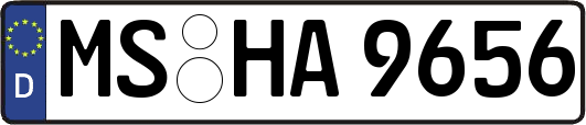 MS-HA9656