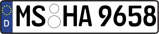 MS-HA9658