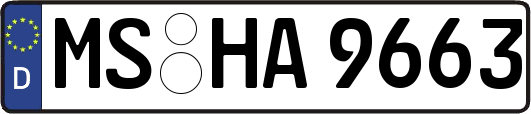 MS-HA9663