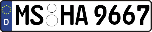 MS-HA9667