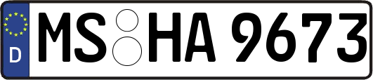 MS-HA9673