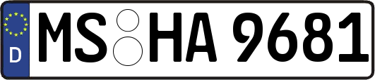 MS-HA9681