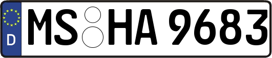 MS-HA9683