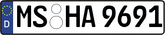 MS-HA9691