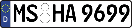 MS-HA9699