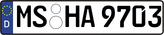 MS-HA9703