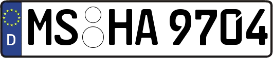 MS-HA9704