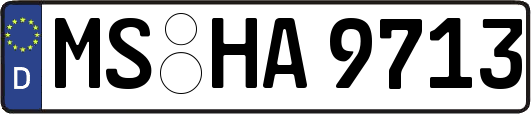 MS-HA9713