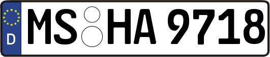 MS-HA9718