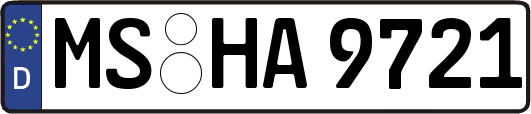 MS-HA9721