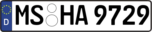 MS-HA9729
