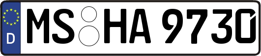 MS-HA9730