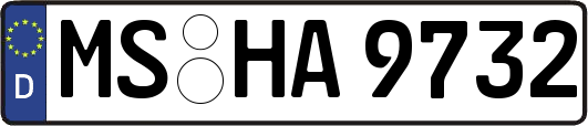 MS-HA9732