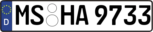 MS-HA9733