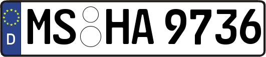 MS-HA9736
