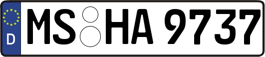 MS-HA9737