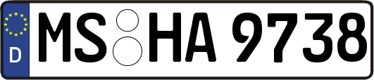 MS-HA9738