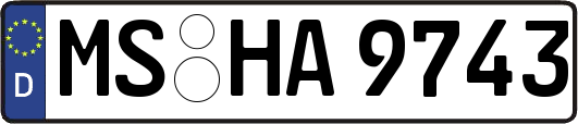 MS-HA9743