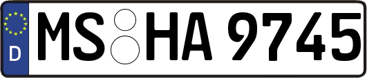 MS-HA9745