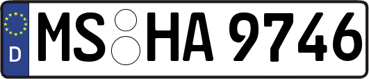 MS-HA9746