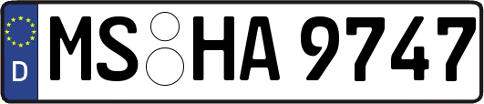 MS-HA9747
