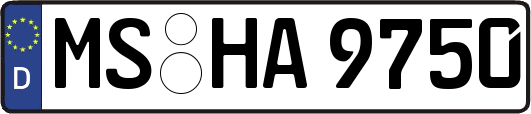 MS-HA9750