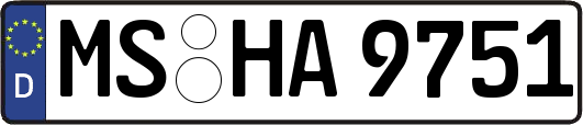 MS-HA9751
