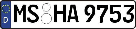 MS-HA9753