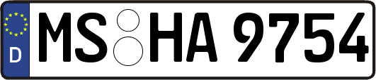 MS-HA9754
