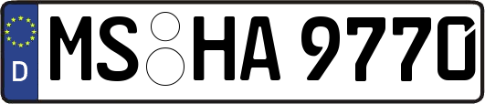 MS-HA9770