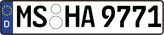 MS-HA9771