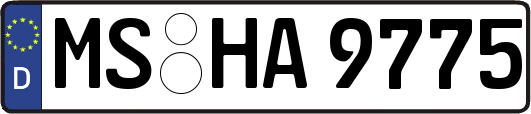 MS-HA9775