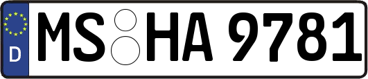 MS-HA9781