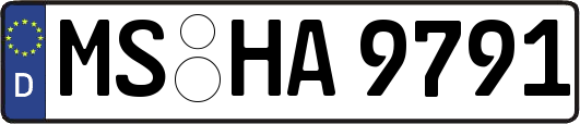 MS-HA9791
