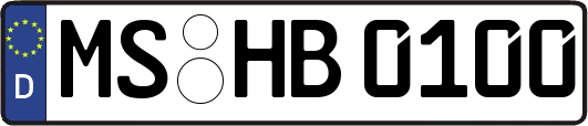 MS-HB0100