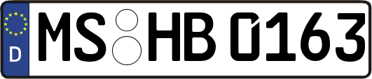 MS-HB0163