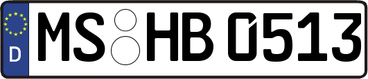 MS-HB0513
