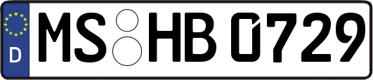 MS-HB0729