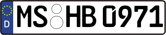 MS-HB0971