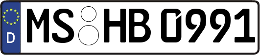 MS-HB0991