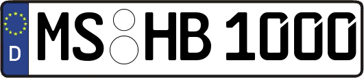 MS-HB1000